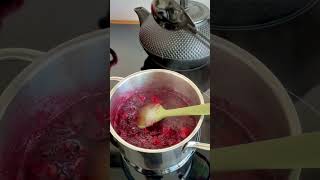 💥Zelf chia jam maken💥 [upl. by Princess868]