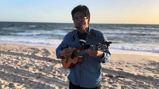 Never Let You Go  Beach Session  Ukulele amp Harmonica UNPLUGGED [upl. by Naols773]