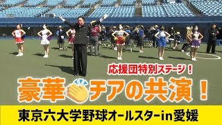 豪華！東京六大学野球オールスターでチアの共演！【愛媛】 [upl. by Anastasia601]