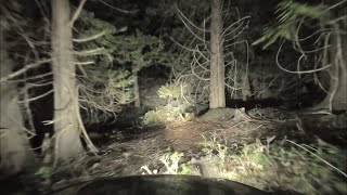 Night driving on abandoned Forest Road ASMRscary [upl. by Nabla704]