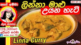 ✔ ලින්නා මාළු සුද්ධකරලා කපලා උයන හැටි Linna currywith cutting and cleaning by Apé Amma [upl. by Anirhtak]