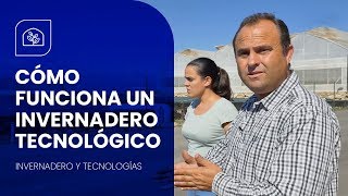 ALTA TECNOLOGÍA EN 24 INVERNADEROS 🤖Cómo aprovechar el AGUA y controlar el CLIMA [upl. by Brodsky]