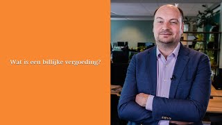 Wat is een billijke vergoeding [upl. by Ardnait]