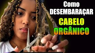 Como Desembaraçar o CABELO ORGÂNICO e BIO VEGETAL [upl. by Aitnom844]