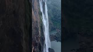 Jog water falls shorts viral treanding waterfall nature [upl. by Giffy]