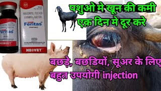 Injection Feritas uses Iron inj use in animals पशुओ मे कमजोरी को एक़ इंज से करे दूर [upl. by Nerte]