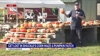 Fall Funtacular Shuckles Corn Maze amp Pumpkin Patch [upl. by Orran]