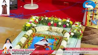 🔴Live  St Alphonsa Shrine  Bharananganam  Atmadars han Tv [upl. by Mccahill]