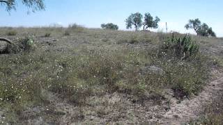 El Cerro de las Palomas Chimalhuán Edo Méx [upl. by Kirsten496]