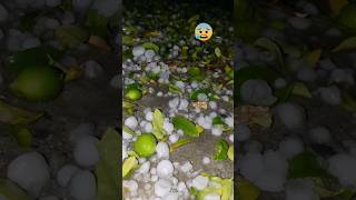 🌧️swabi Mein Barish ke sath galagary ho gai hai shortvideos [upl. by Rubma]