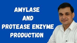 How to produce amylase and protease enzymes using microorganisms [upl. by Aslehc]