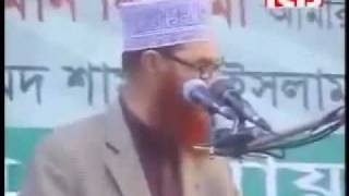 আখেরাতের আলোচোনা। Mawlana Delwar Hossain Saidi [upl. by Helli]