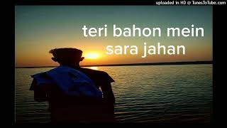 Love 1 song NS NARAYAN  teri bahon mein sara jahan [upl. by Anieral860]