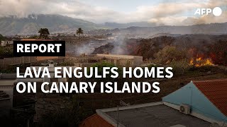 Lava engulfs 100 homes as Canary Islands volcano erupts  AFP [upl. by Thunell384]