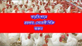 ৭ এপ্রিল🐓 আজকে সকল মুরগি বাড়তি দামে বিক্রি করুন ❤️ব্রয়লার লেয়ার সোনালী ফাউমি মুরগির বাচ্চার দাম জানো [upl. by Amory560]