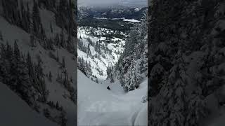 SkierTriggered Avalanche in Super Couloir [upl. by Iroak]