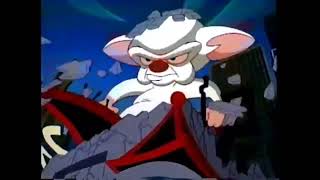 Looney TunesAnimaniacsPinky amp The BrainTiny Toons Trailer 1996 [upl. by Enimisaj503]