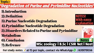 Degradation of Purine and Pyrimidine Nucleotides  Biochemistry [upl. by Anelrac]