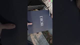 Dior B22 Sneaker review [upl. by Nicolea159]