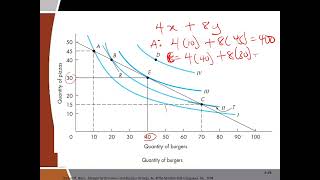 Consumer Behaviour Video 3  Consumer Constraints  Budget Line and Maximizing Utility [upl. by Haisoj840]