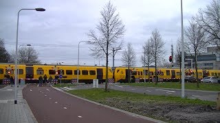 Spoorwegovergang Zwolle  Dutch railroad crossing [upl. by Nalro]