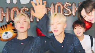 All sub Seventeen Hoshi live his birthday with Woozi and Seungkwan on Weverse 2024 06 15 🐯🎂 [upl. by Aynnat]