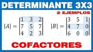 Determinante 3x3 Método de Cofactores [upl. by Dirrej]