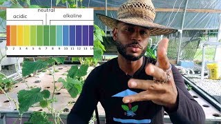 pH VS ALKALINITY AQUAPONICS [upl. by Jeremy]