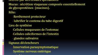 PHYSIOLOGIE physiologie digestive 3 [upl. by Kubetz]