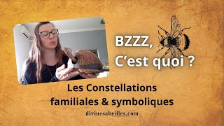 Les constellations familiales et symboliques  cest quoi [upl. by Samale]