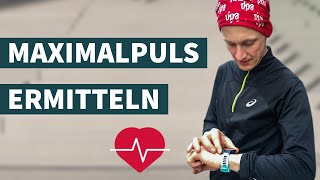 Maximalpuls beim Joggen ermitteln So gehts [upl. by Etnovaj]