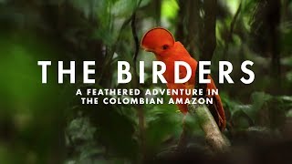 THE BIRDERS  A feathered adventure in the Colombian Amazon [upl. by Kleinstein]