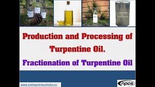 Production and Processing of Turpentine Oil  Fractionation of Turpentine Oil [upl. by Sinnej]