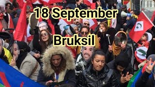 🛑 Live zi bruksil Ticri Narrif [upl. by Fridell]