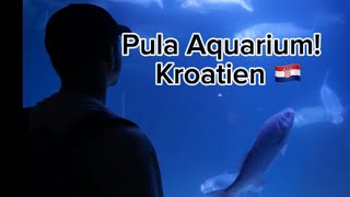 Unsere Tour durch das Pula Aquarium 4 [upl. by Adnulahs673]