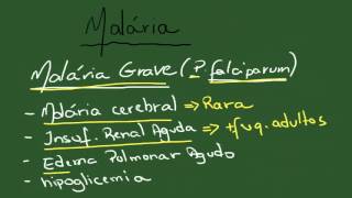 Malária  Resumo  Parasitologia [upl. by Nonnaehr453]