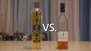 接骨木花利口酒  便宜的与贵的有什么区别？ Elderflower Liqueur Review  St Germain VS Giffard [upl. by Ammamaria]