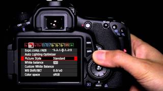 Canon EOS 60D Tutorial  Picture Style Operation 1014 [upl. by Nnylasor29]