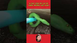 Lí do Mỹ thất bại tại chiến trường Việt Nam shotsvideo giảitrí tintuc chiếntranh hoakỳ khampha [upl. by Naek]