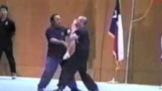 Wing Chun  The Ultimate Demonstration Pt 3 [upl. by Moscow]