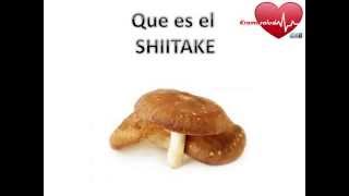 Que es el hongo Shiitake y para que sirve [upl. by Idou329]