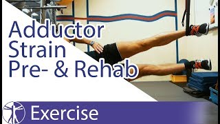 Copenhagen Adduction Exercise  Adductor Strain Pre and Rehab [upl. by Ataymik]