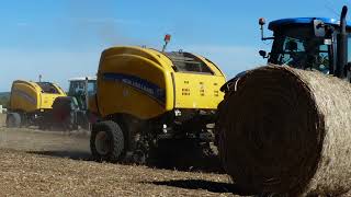 Récolte du chanvre en Haute Marne 52 andainage pressage New Holland transport [upl. by Tletski266]