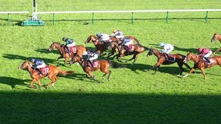 GRATEFUL wins the G1 Prix de Royallieu under Christophe Soumillon [upl. by Atrice]