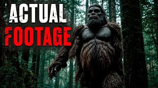 19 SHOCKING Bigfoot Sightings amp Encounters [upl. by Llamaj687]