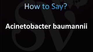 How to Pronounce Acinetobacter baumannii CORRECTLY [upl. by Narad822]