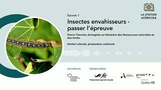 La Station acéricole  Épisode 7  Insectes envahisseurs [upl. by Utas]