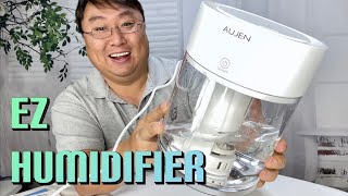 Simple Cheap 3L Bedroom Humidifier Review [upl. by Enetsuj]