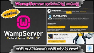 How to Download amp Install WAMP Server [upl. by Acimot831]