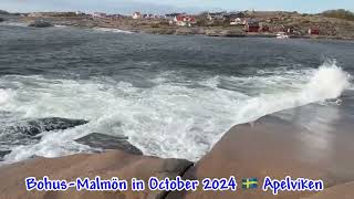 BohusMalmön ‼️October 2024 🇸🇪Apelviken beachlife nature therapy nyheter newvlog [upl. by Akirat71]